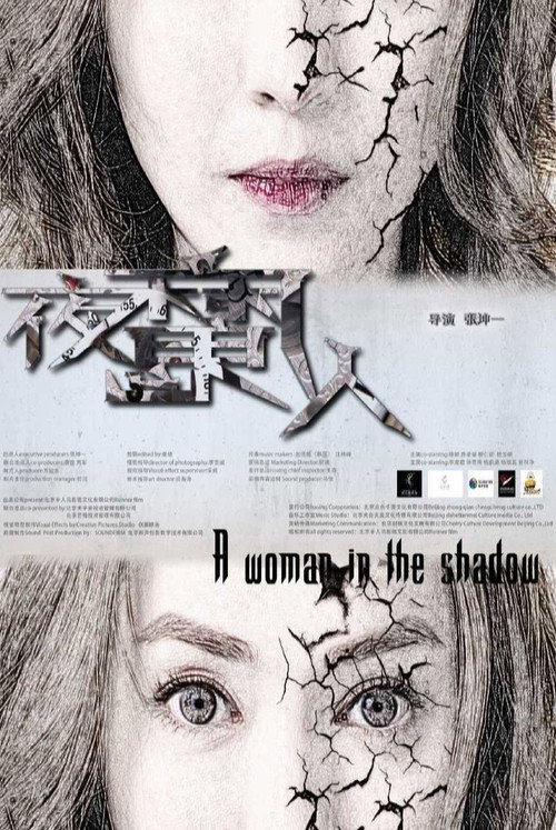 Movie poster for A Woman in the Shadow (2016)