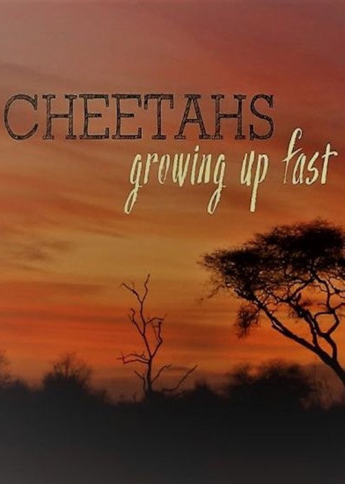 Movie poster for Cheetahs: Growing Up Fast (2017)