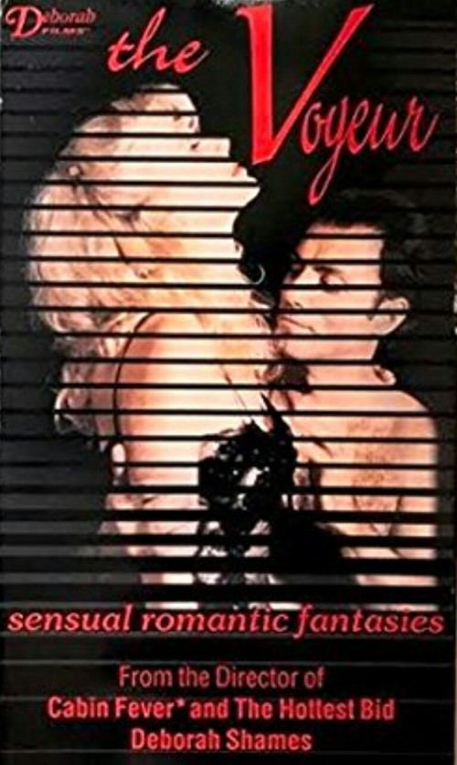 Movie poster for The Voyeur (1997)