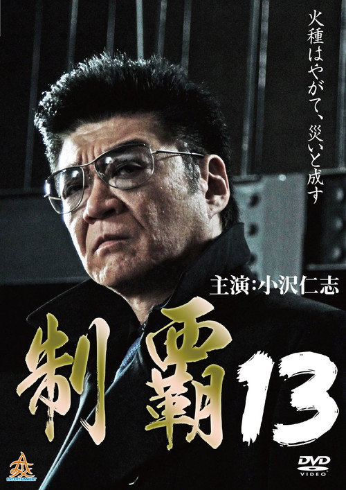 Movie poster for Conquest 13 (2017)