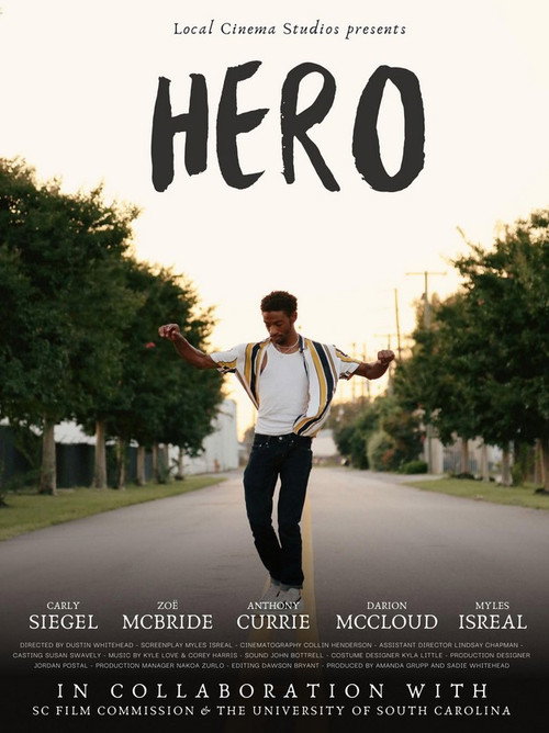 Movie poster for Hero (2024)