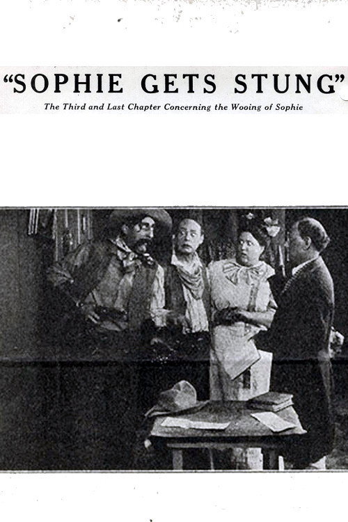 Movie poster for Sophie Gets Stung (1914)