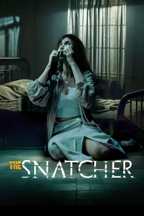 Movie poster for The Snatcher (2024)