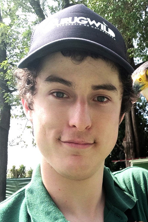 Antônio Ripoll profile