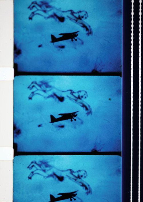 Movie poster for Fluke (1985)