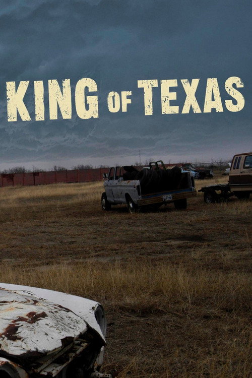 Movie poster for The King of Texas (2008)