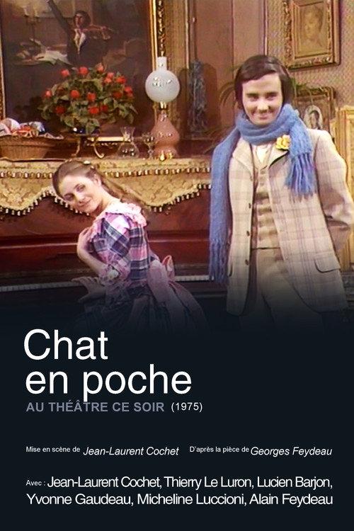 Movie poster for Chat en poche (1975)