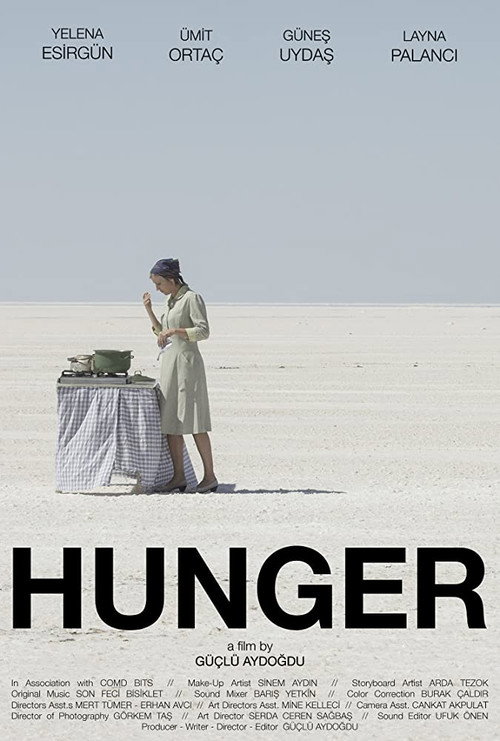 Movie poster for Hunger (2013)