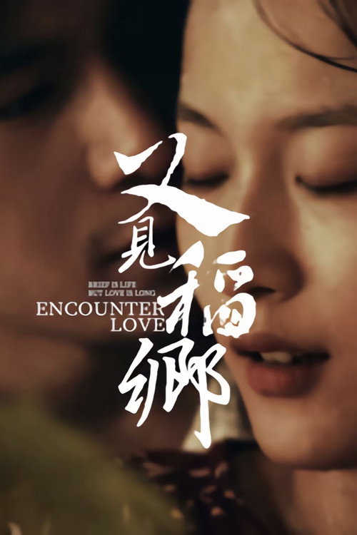 Movie poster for Encounter Love (2024)