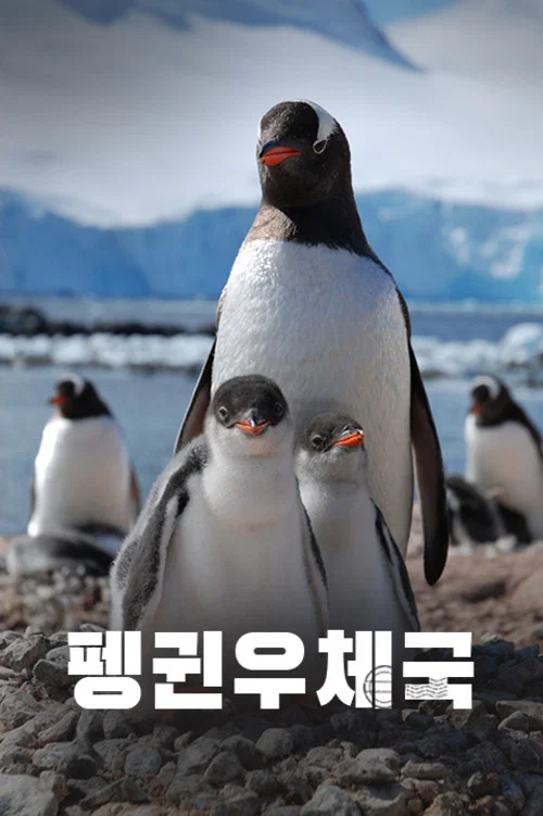 Movie poster for Penguin Post Office (2015)