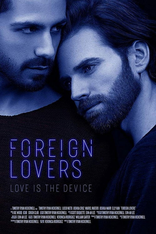 Movie poster for Foreign Lovers (2017)