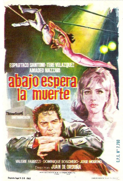 Movie poster for Delitto d'amore (1966)