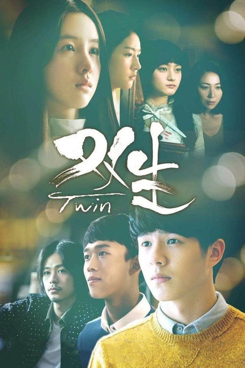 Movie poster for The Twins (2019)