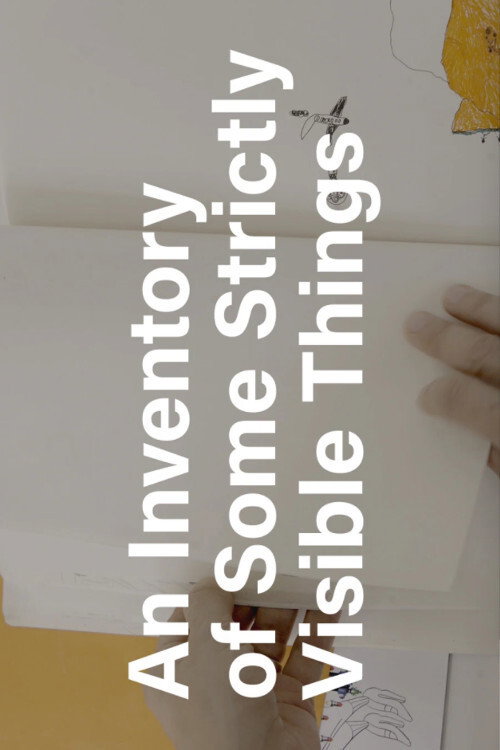 Movie poster for An Inventory of Some Strictly Visible Things (2017)