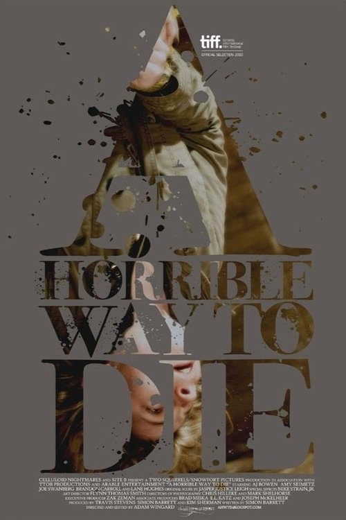 Movie poster for A Horrible Way to Die (2010)