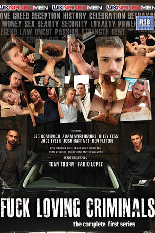 Movie poster for Fuck Loving Criminals (2014)