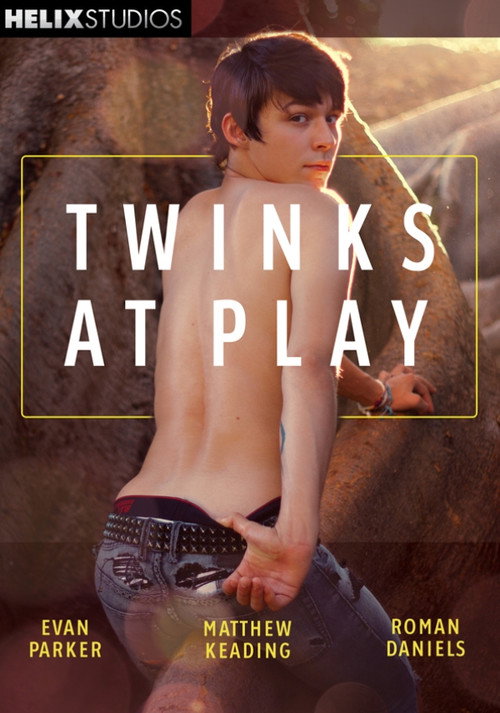 Movie poster for Twinks at Play (2014)