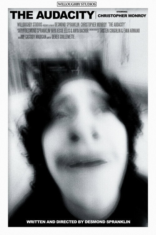 Movie poster for The Audacity (2024)