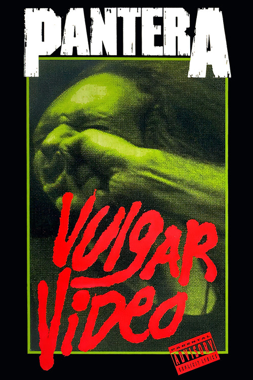 Movie poster for Pantera: Vulgar Video (1993)