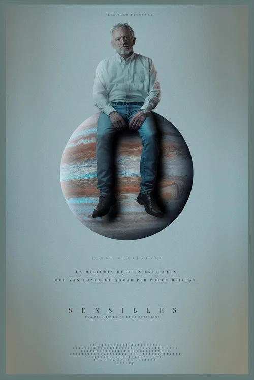 Movie poster for Sensibles