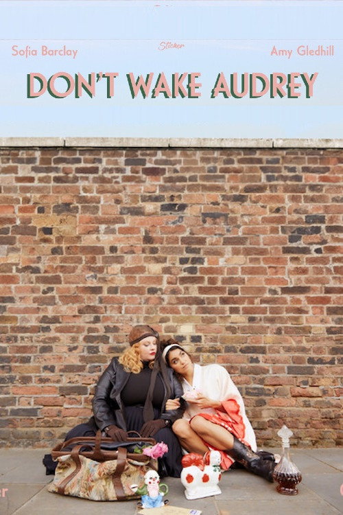 Movie poster for Don’t Wake Audrey (2023)