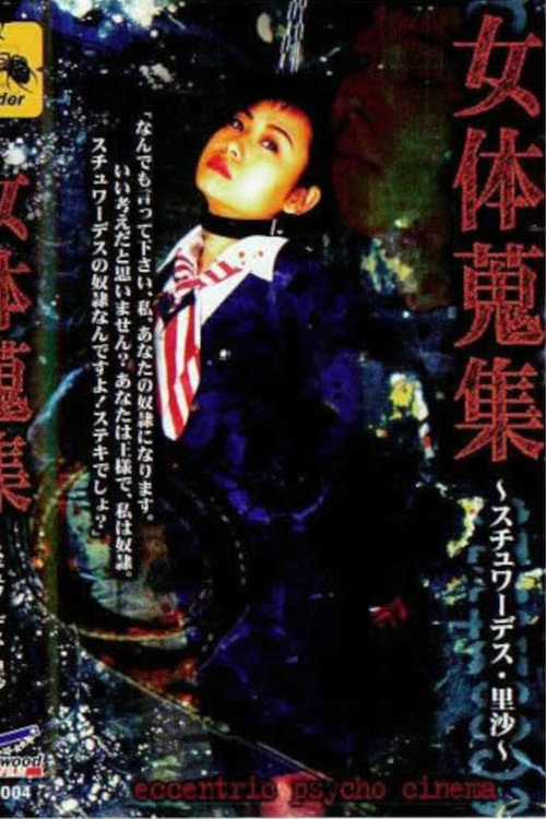Movie poster for Female Body Collection: Stewardess Risa (1998)