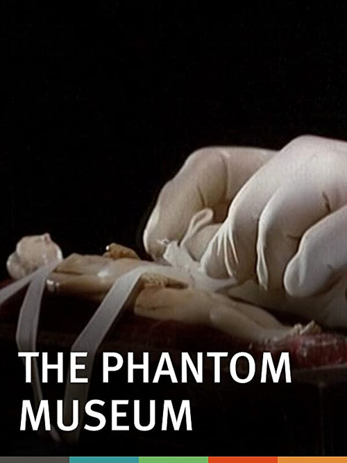 Movie poster for The Phantom Museum: Random Forays Into the Vaults of Sir Henry Wellcome's Medical Collection (2003)