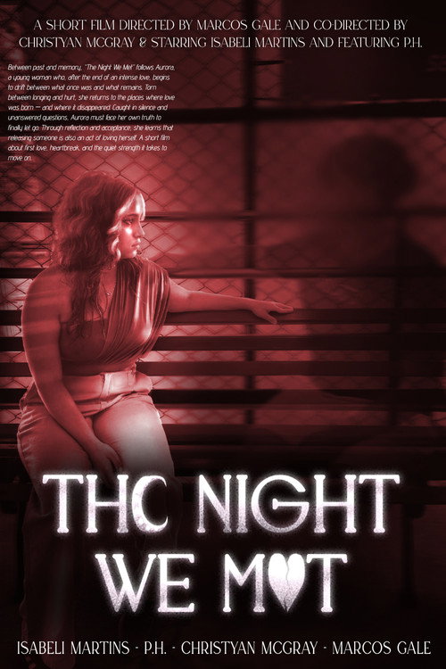 Movie poster for The Night We Met (2025)
