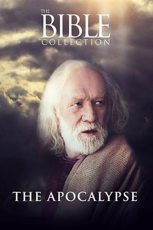 Movie poster for The Apocalypse (2004)