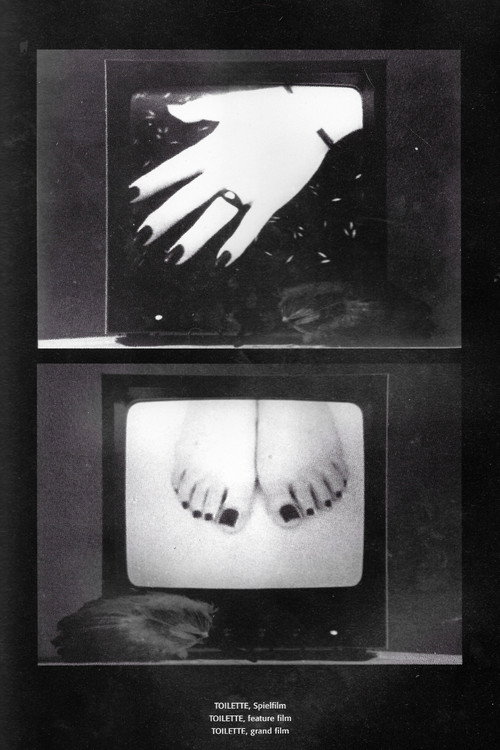 Movie poster for Toilette (1979)