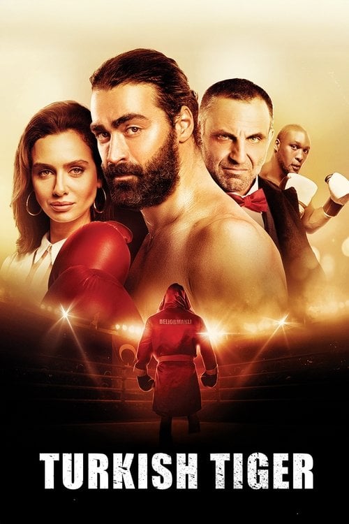 Movie poster for Turkish Tiger (2016)
