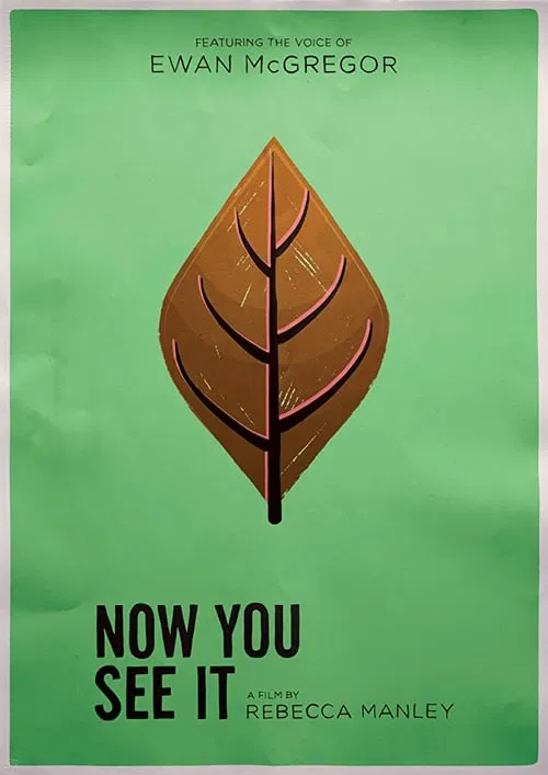 Movie poster for Now You See It (2017)
