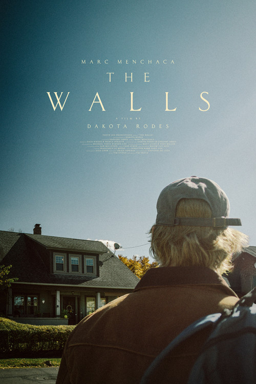 Movie poster for The Walls