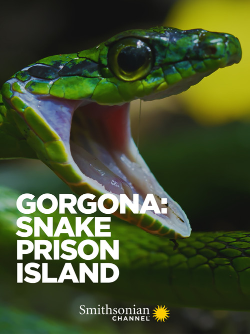 Movie poster for Gorgona: Snake Prison Island (2022)