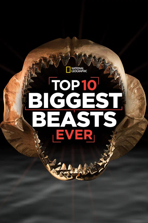 Movie poster for Top 10 Biggest Beasts Ever (2015)