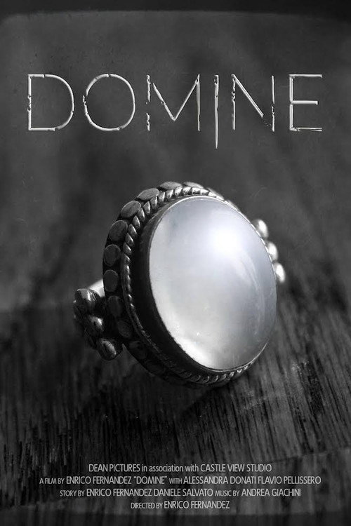 Movie poster for Domine (2017)