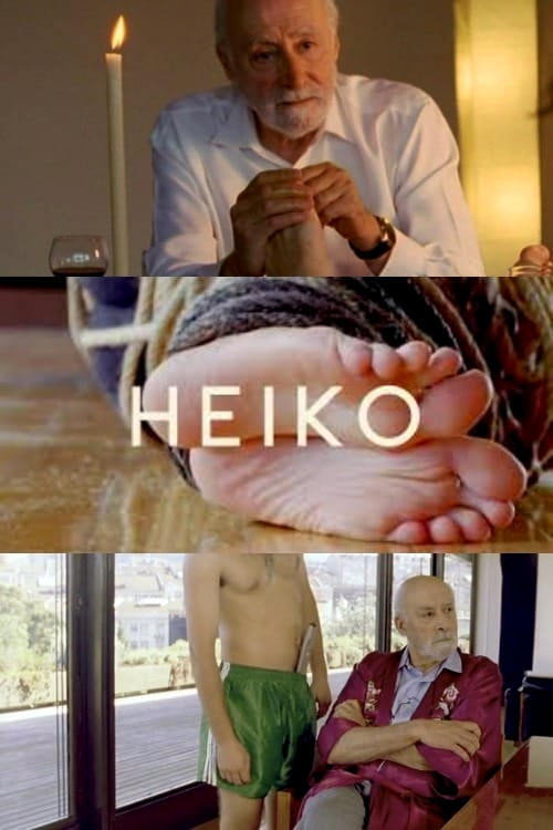 Movie poster for Heiko (2008)