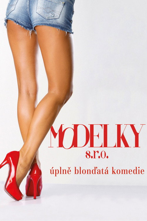 Movie poster for Modelky s.r.o. (2014)