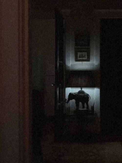 Movie poster for Alarm Melody (2024)