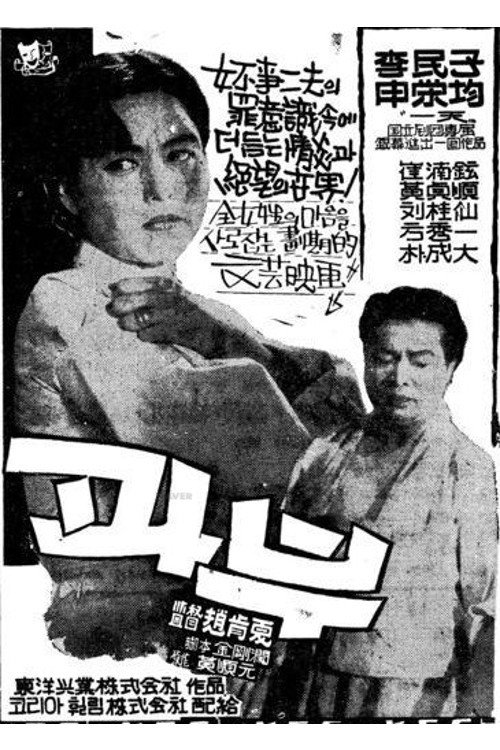 Movie poster for A Widow (1960)