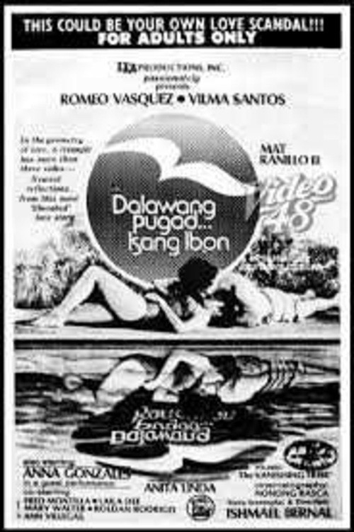 Movie poster for Dalawang Pugad... Isang Ibon (1977)
