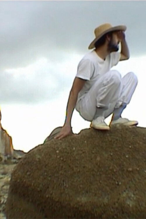 Movie poster for Rémi (2001)