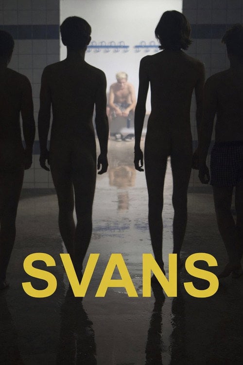Movie poster for Swans (2016)