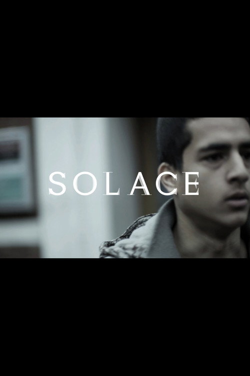 Movie poster for Solace (2013)