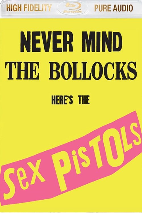 Movie poster for Sex Pistols: Never Mind The Bollocks Here's The Sex Pistols (2013)
