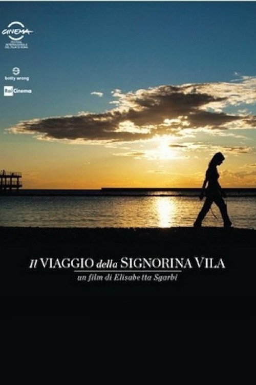 Movie poster for Il viaggio della signorina Vila (2012)