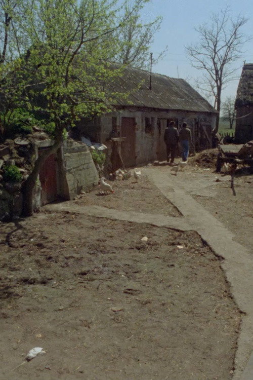 Movie poster for A Farm (1979)