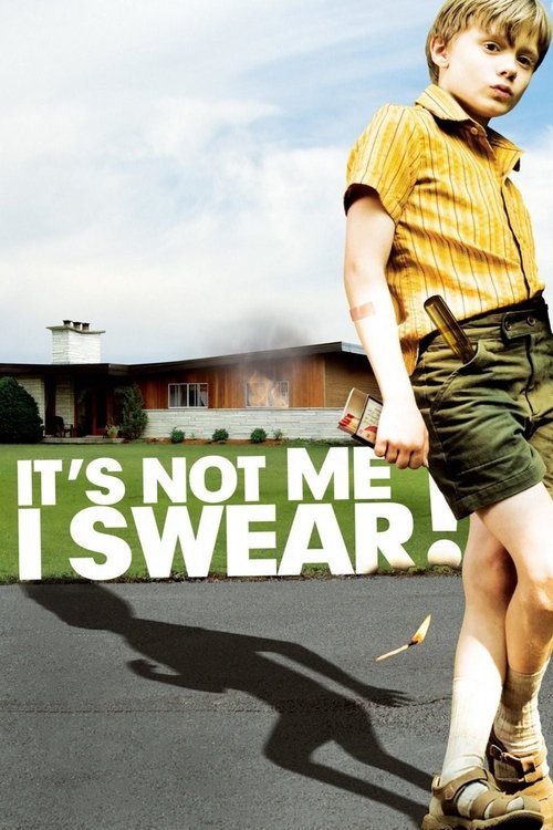 Movie poster for It's Not Me, I Swear! (2008)