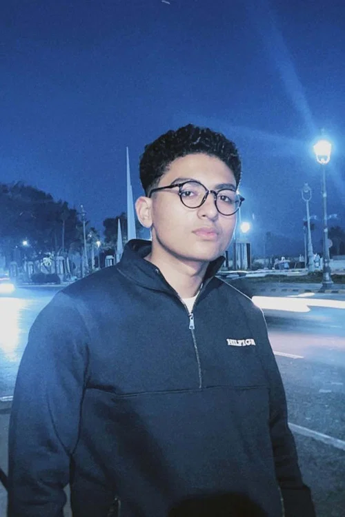 Photo of Youssef Hesham, Art