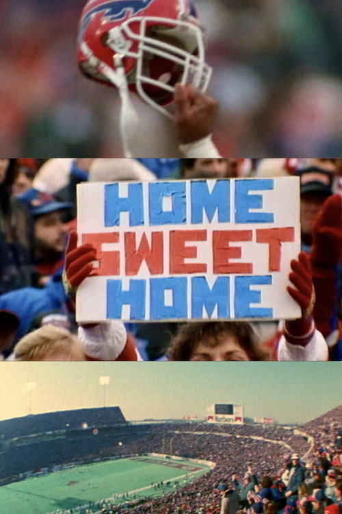 Movie poster for Farewell Highmark Stadium (2025)
